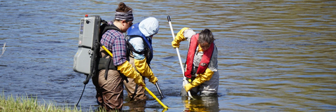 Electrofishing