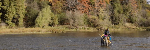 Graduate students electrofishing for Rainbow Darter in the Grand River