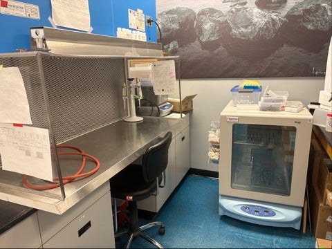 Laminar flow hood and incubator