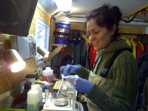 Patricija sampling fish