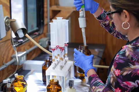 Diana Cardenas Soraca extracting samples