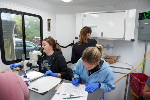Rachel Dawe dissecting fish