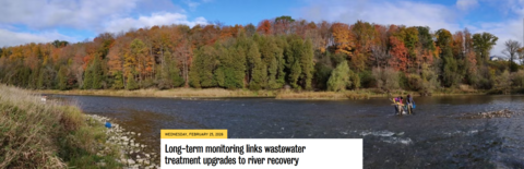Students electrofishing downstream of the Kitchener WWTP.