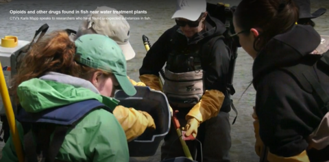 Students looking at fish