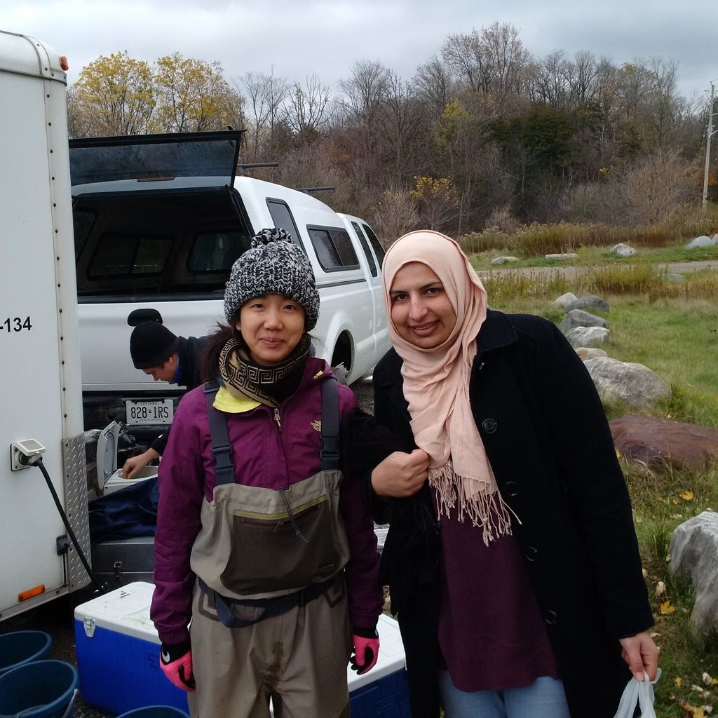Volunteers helping in the field.