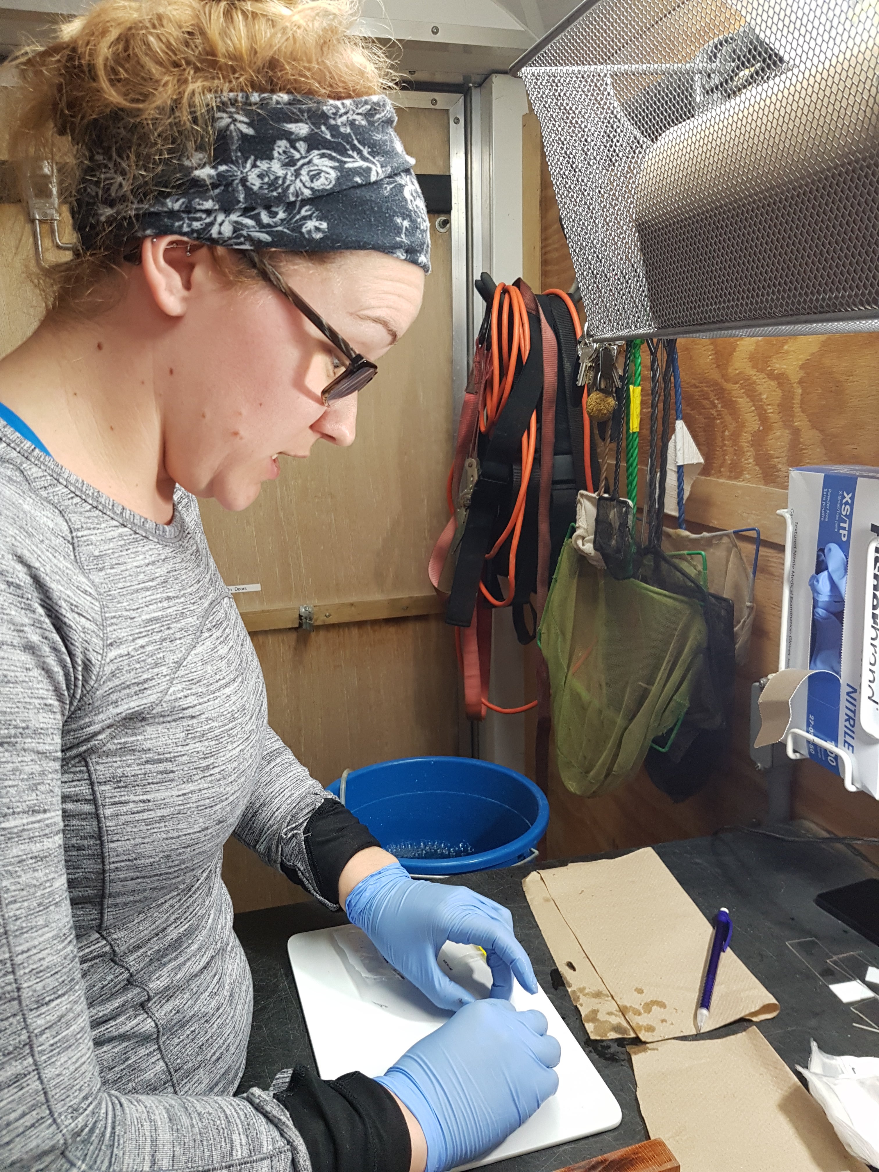 Carly dissecting fish