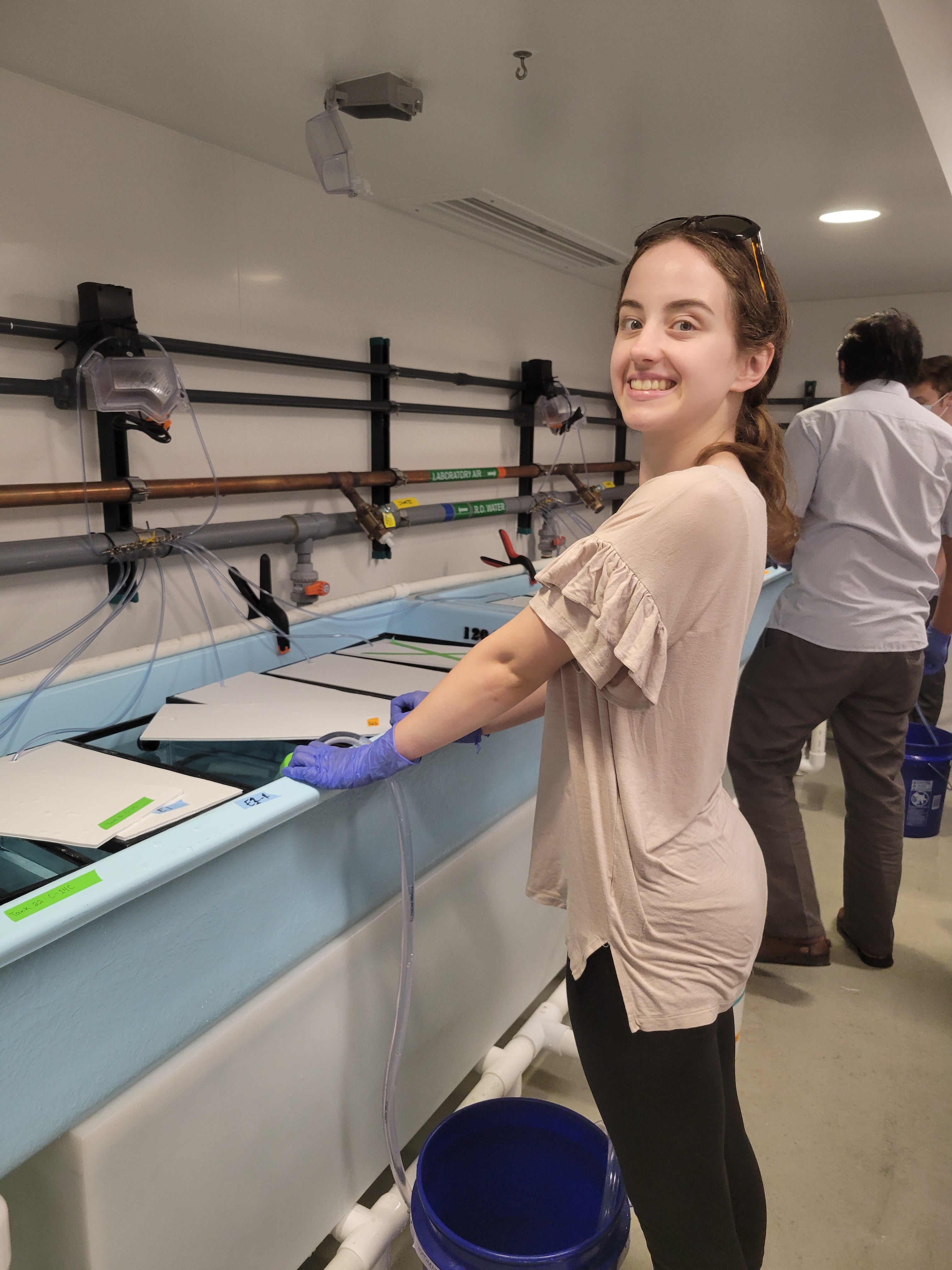 Sarah in the wetlab