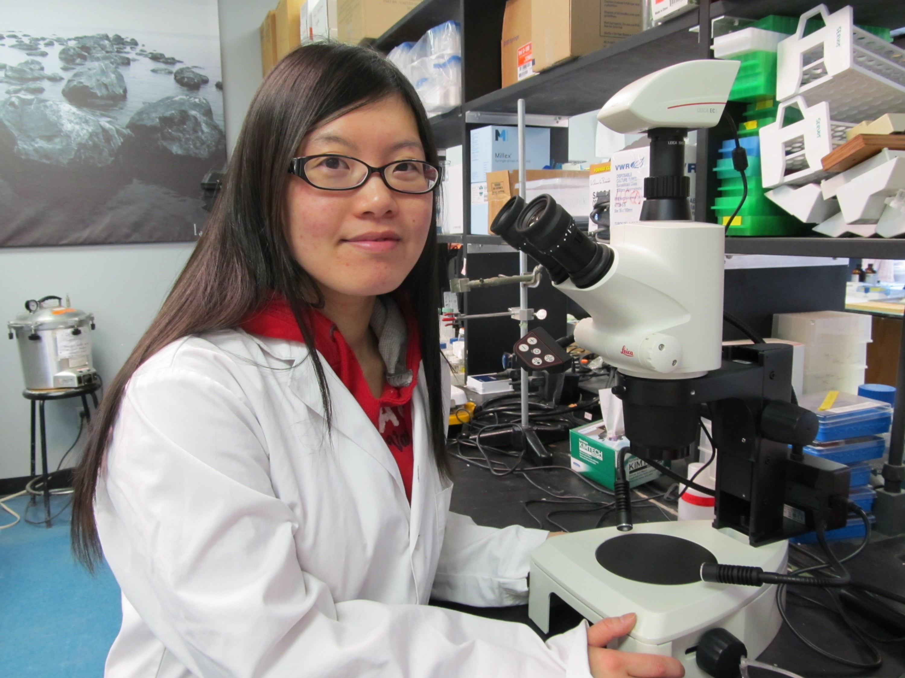 Amy Luong in the lab