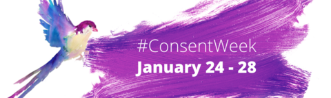 A purple and blue watercolour bird in flight. Beside a purple watercolour streak with the text "Consent Week, January 24 - 28"