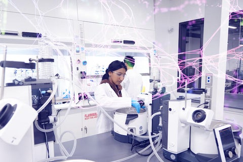 Student working in a lab