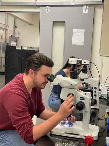 Graduate students checking the quality of the crystals under microscope
