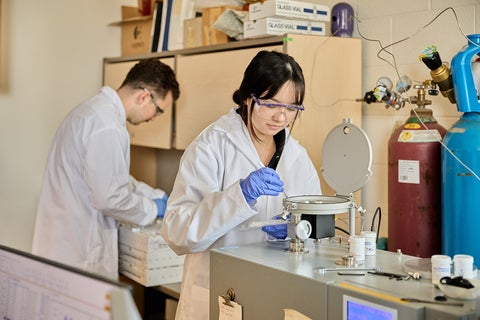 Students in a lab working