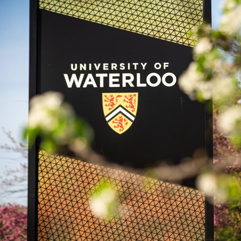 University of Waterloo signage with white flowers in the foreground