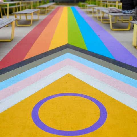 Pride flag painted walkway in the Arts Quad