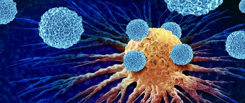 A microscopic illustration of cells attacking a cancerous cell 
