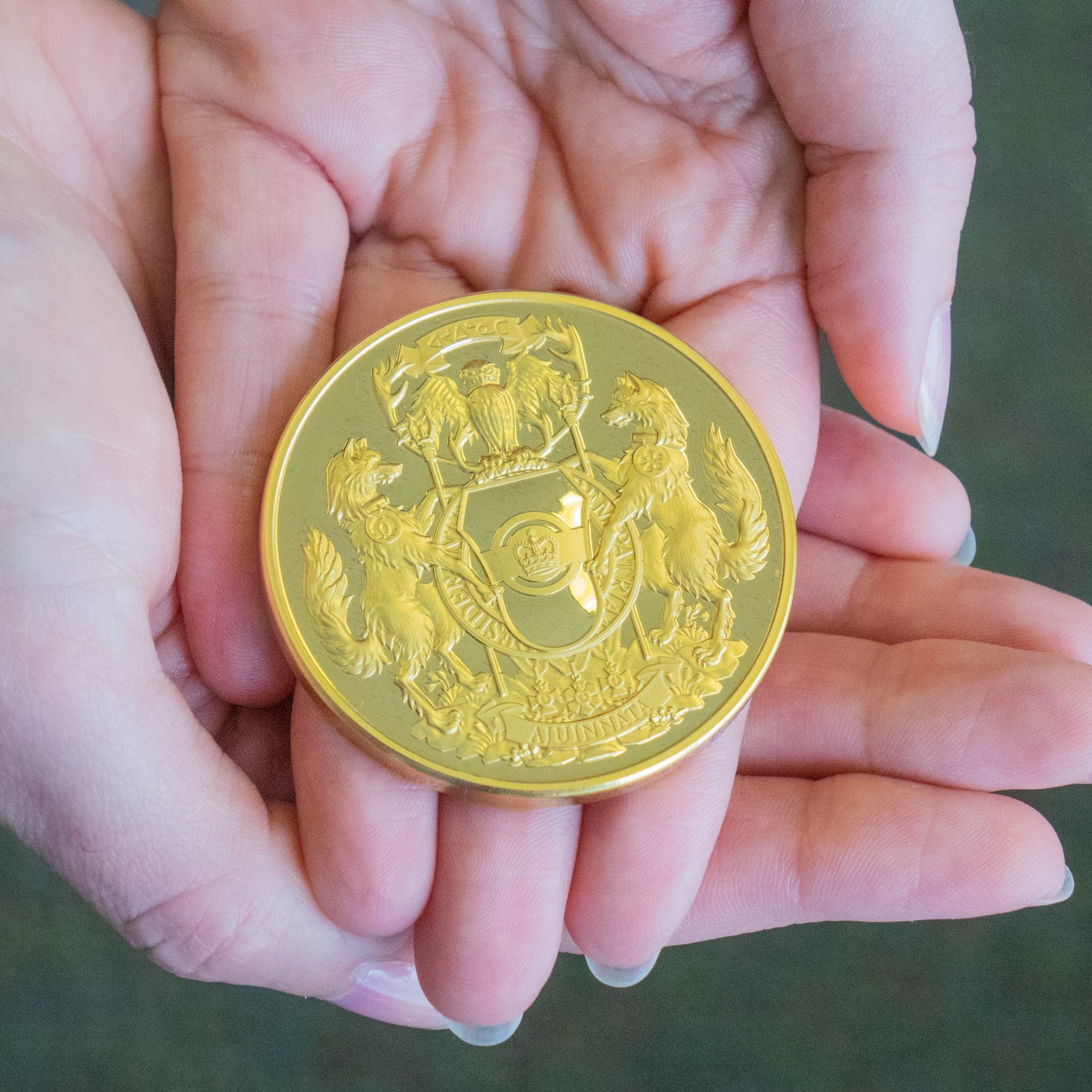 Hand holding Governor General's gold medal