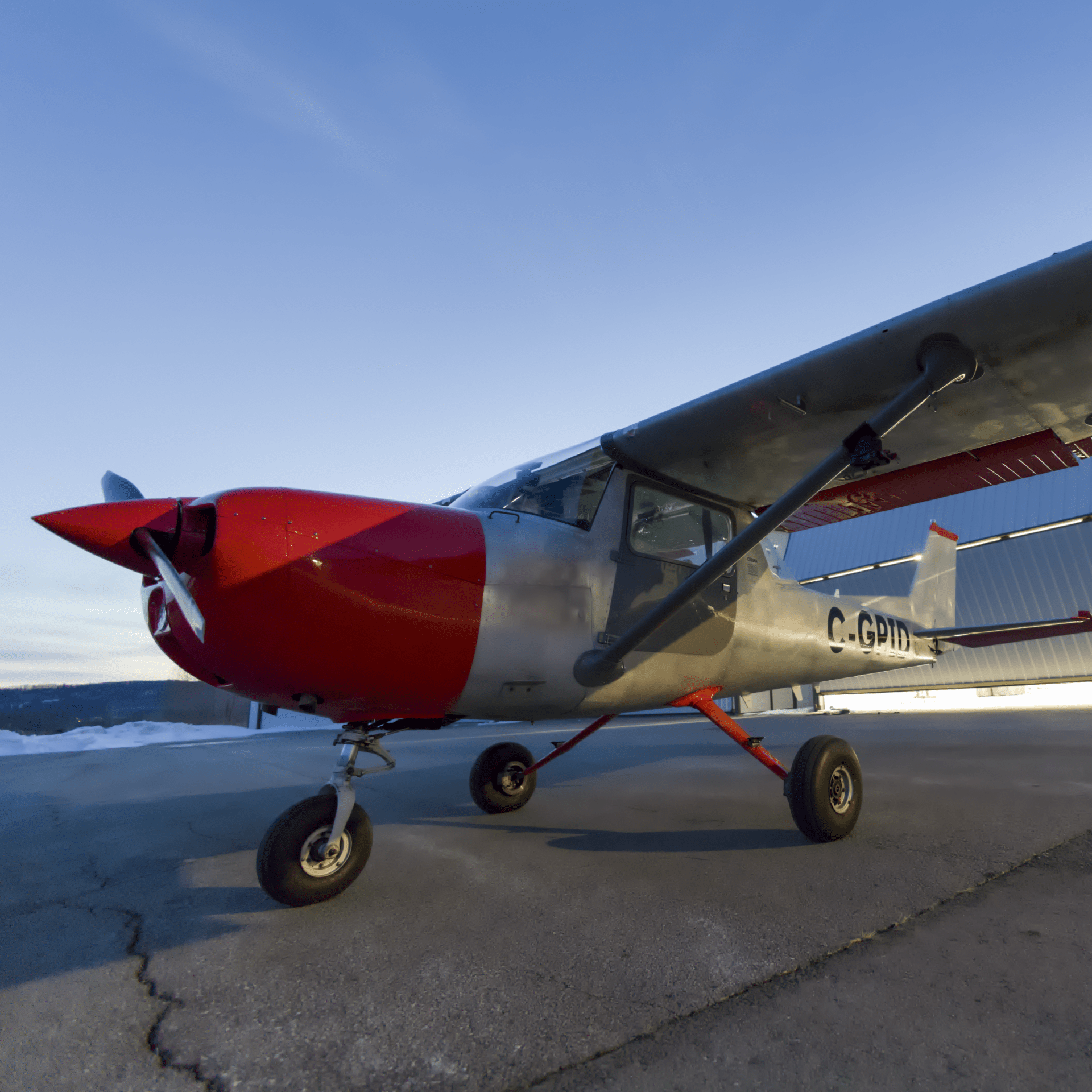 Ribbit airplane