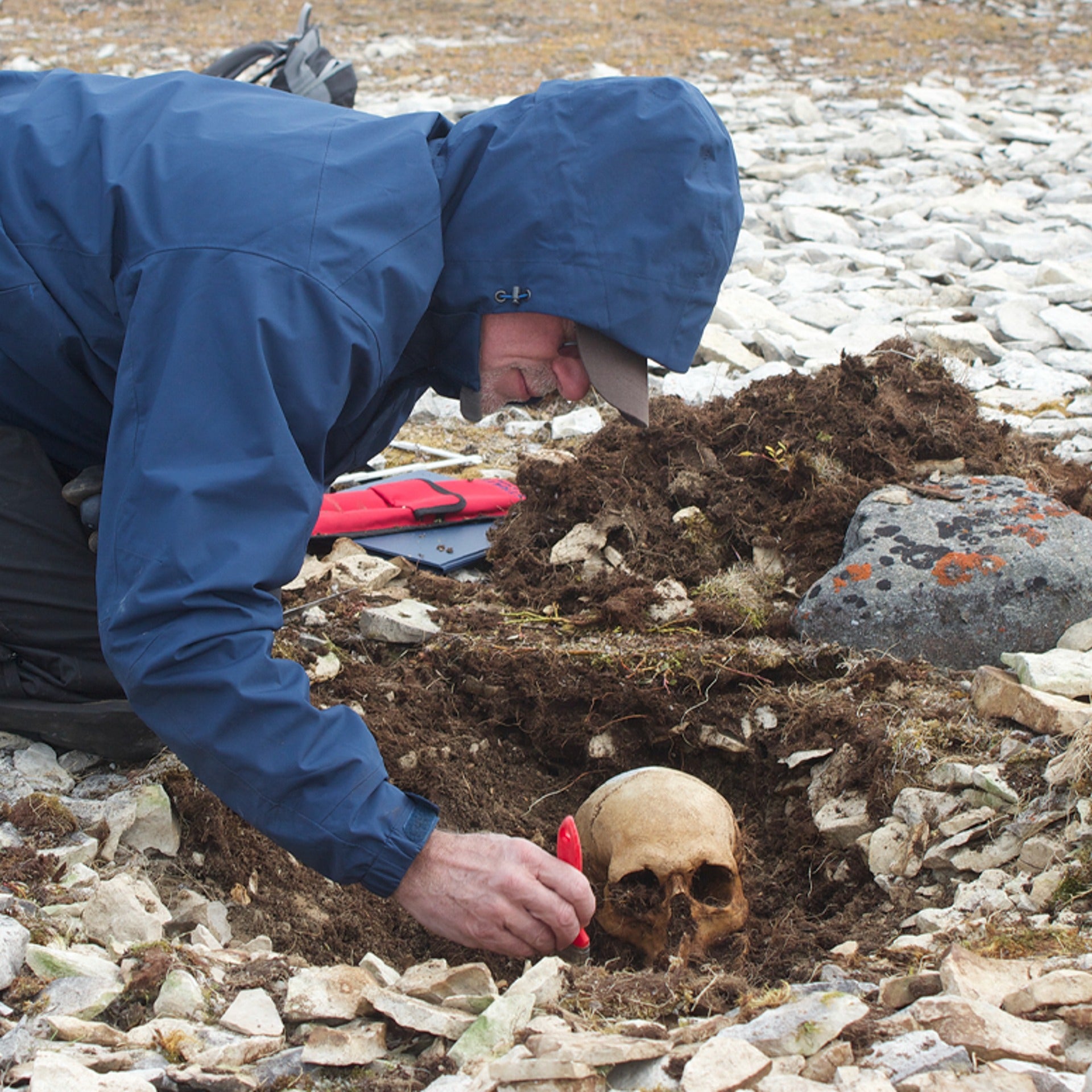 Man using small hand tool to excavate a human skull from the ground