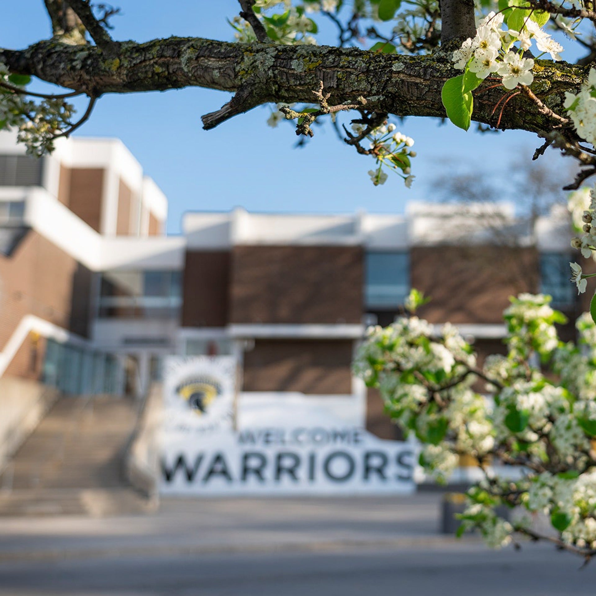 Warrior mural on display beyond some foliage
