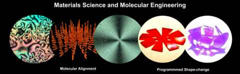 Materials Science and Molecular Engineering, Molecular Alignment, Programmed Shape-change
