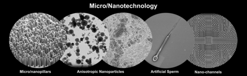 Micro/Nanotechnology, Micro/nanopillars, Anisotropic Nanoparticles, Artificial Sperm, Nano-channels