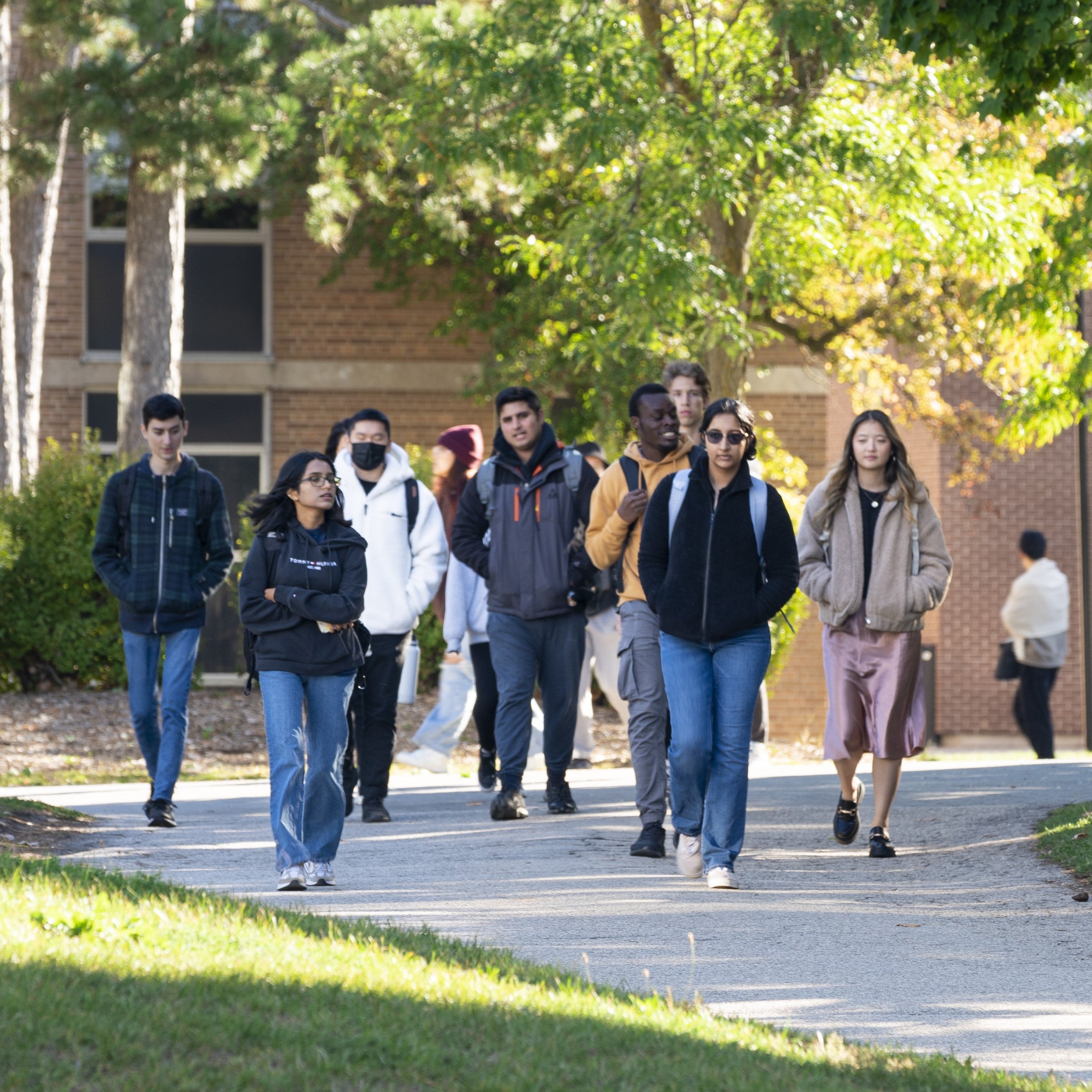 Students on campus walking on a path