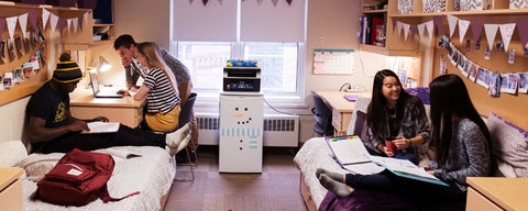 students in a residence room studying together