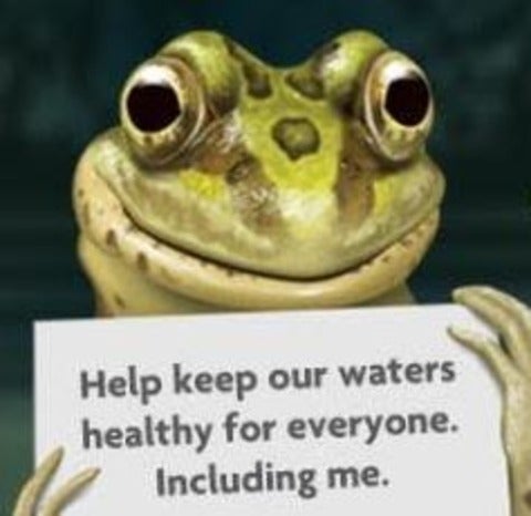 Cartoon frog holding a sign with the text, "Help keep our waters healthy for everyone. Including me."