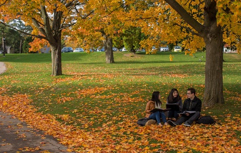 Our Graduate Programs in Sociology, advertised by an image of students sitting in the grass on an autumn day