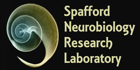 Spafford Neurobiology Research Laboratory
