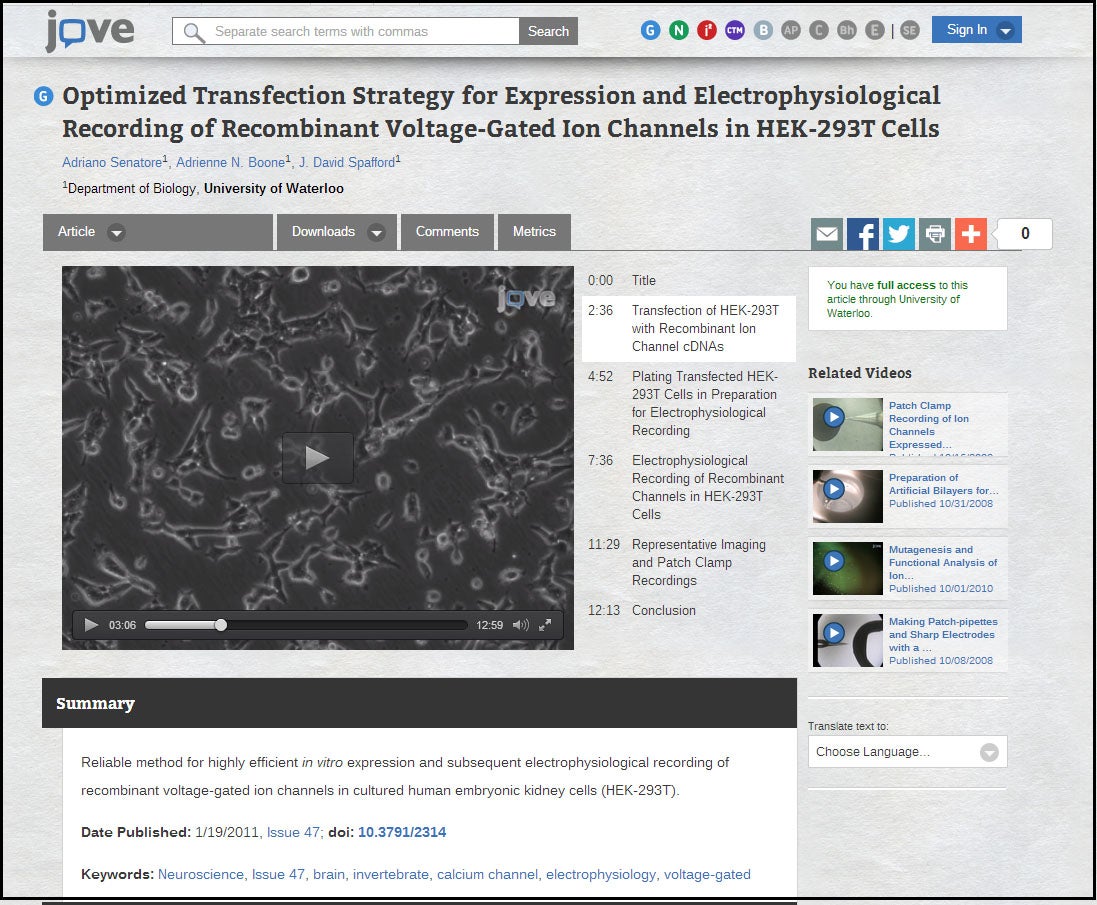 Screenshot of online video publication about optimized ion channel transfection