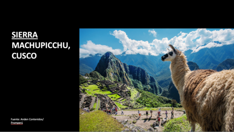 White and black alpaca looking out over Machu Picchu.