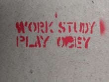 Work Study Play Obey
