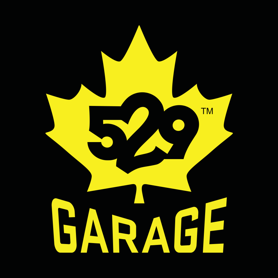Project 529 Logo