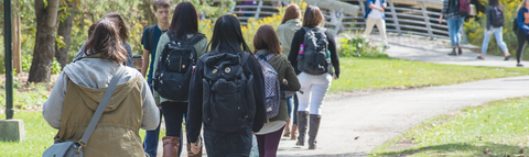 students walking on a pathway towards a bridge