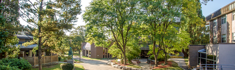 St. Jerome's courtyard with trees in bloom