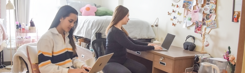 Two students studying at a desk in their residence double room decorated with colourful posters and pillows