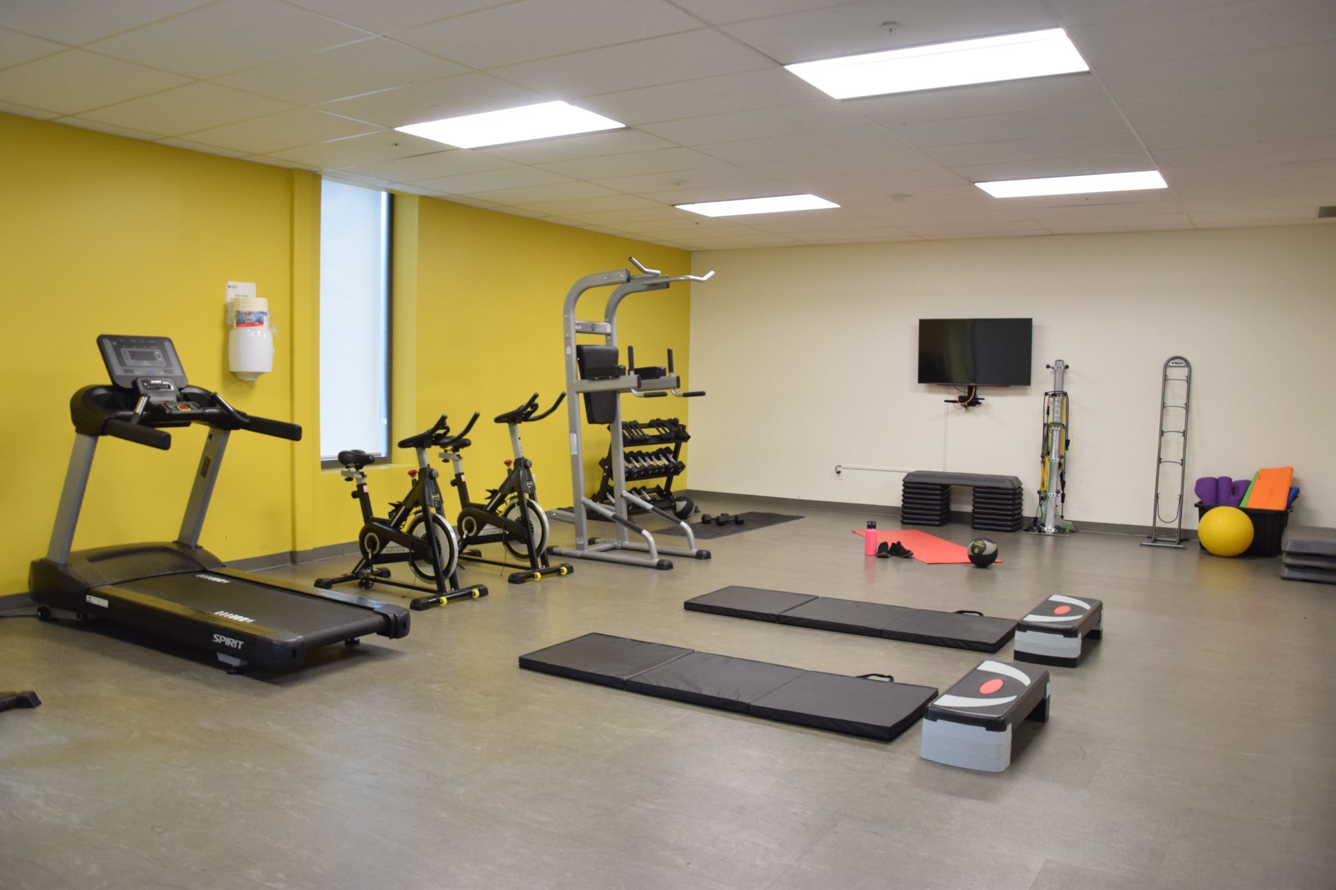 A bright, spacious room with modern, high quality treadmill, stationary bikes, yoga matts, weight station, assisted pull up machine, and more.