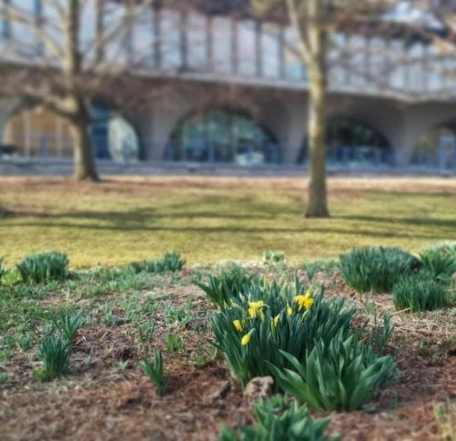spring time on campus