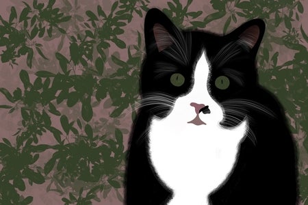 Amanda's digital drawing