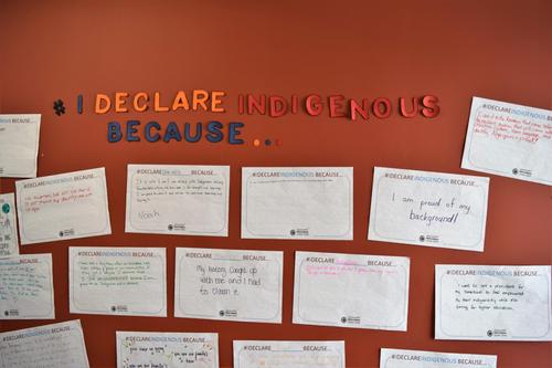 interior wall with an installation called I declare Indigenous because 