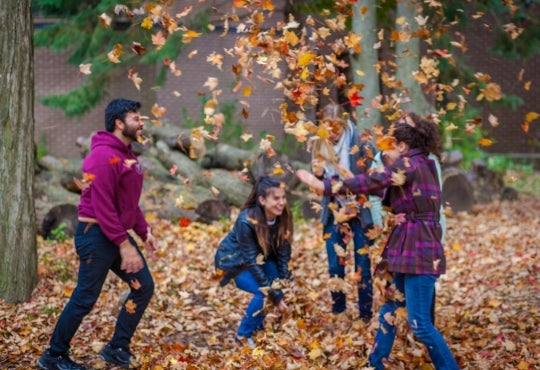 Students play in the fallen leaves