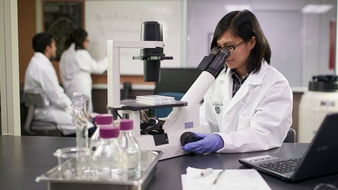 Female wearing a lab coat looking into a microscope