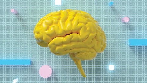 3D illustration of a brain