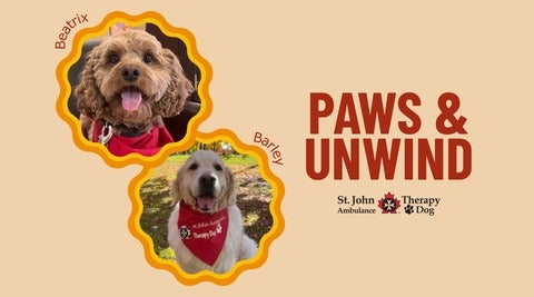 Therapy Dog Graphic