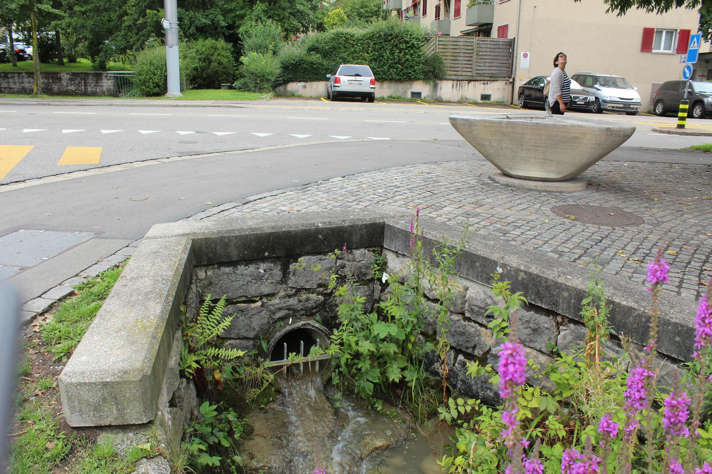 A daylighted urban brook coming out of a culvert in Zurich