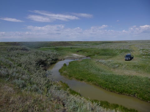 View of a stream in Grasslands National Park