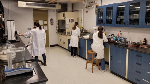 StrEAMS Lab members working in the WESP lab​