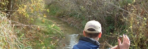 A view of a small stream with a person standing in it.