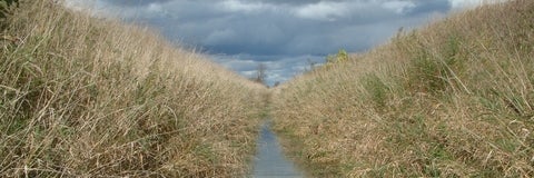 view along a channelized stream with a cloudy sky in the distance​